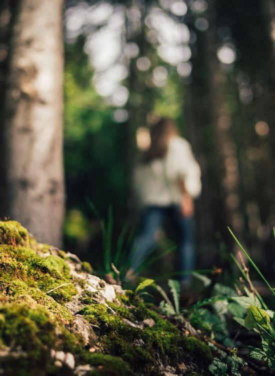 Torghele's Wald + Fluh - Wald Wellness im Hotel im Allgäu